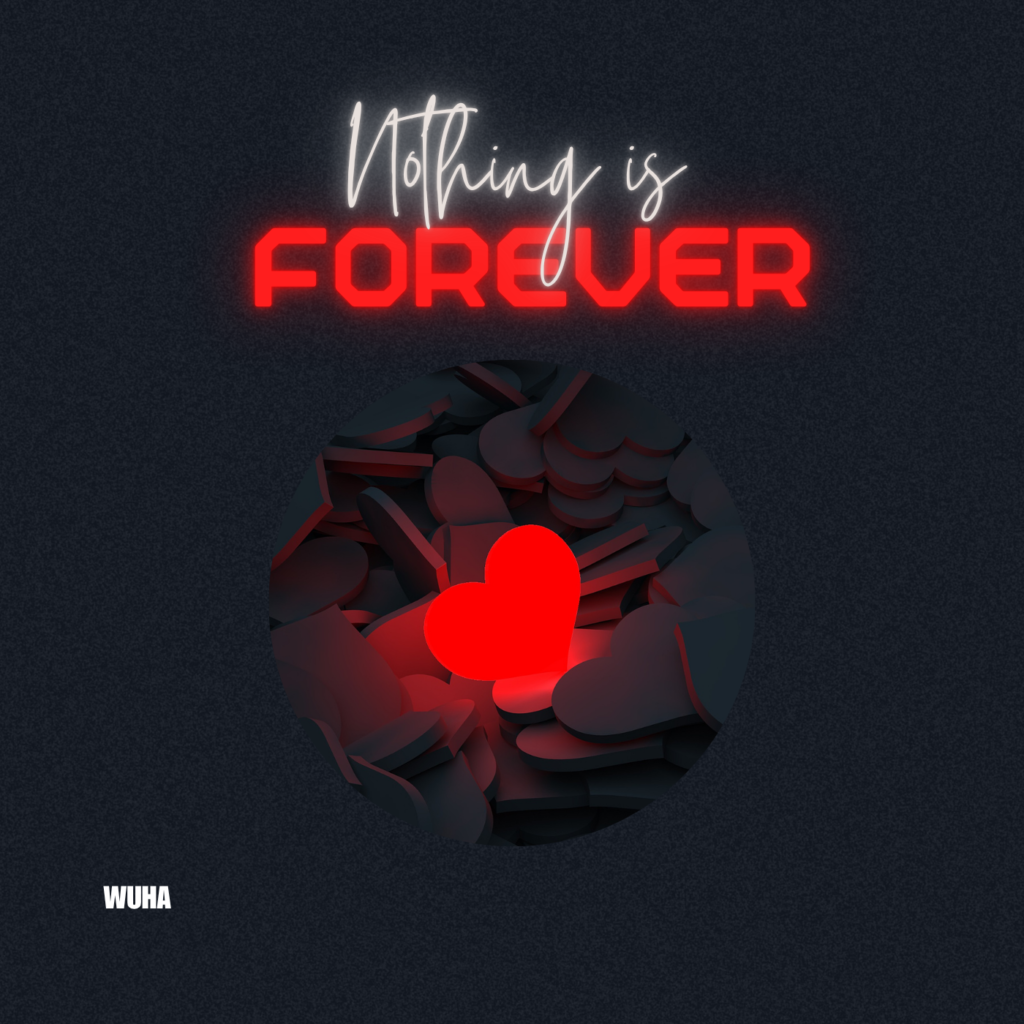 WUHA Nothing is forever Cover